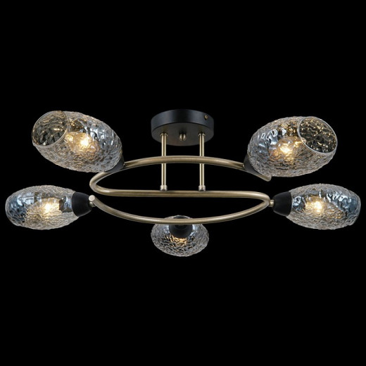 Потолочная люстра ILLUMICO  IL0300-5CSQ-79 BK AB
