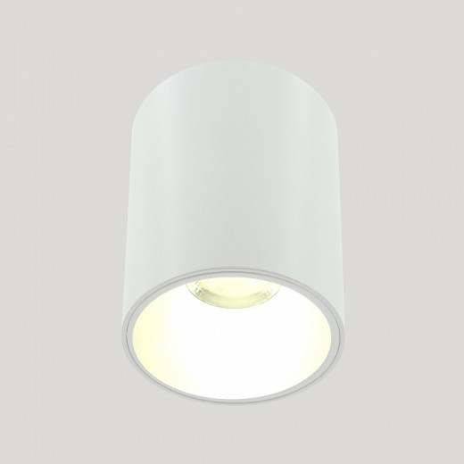 Накладной светильник LIGHTERA Shamrock LE201CL-1WA