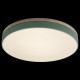 Накладной светильник Loft it Axel 10001/36 Green