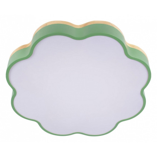 Накладной светильник Loft it Axel 10225/36 Green