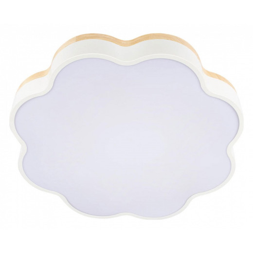 Накладной светильник Loft it Axel 10225/36 White