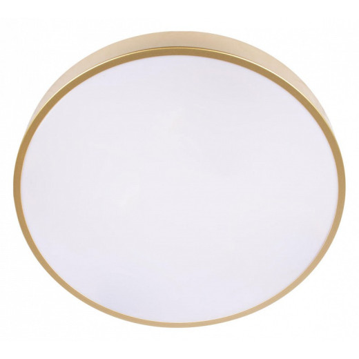 Накладной светильник Loft it Flims 10228/A