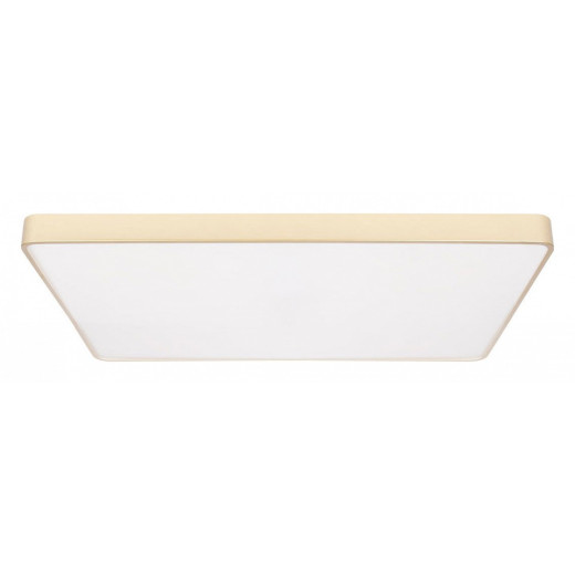 Накладной светильник Loft it Flims 10228/E