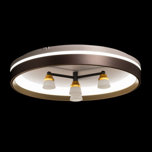 Потолочная люстра De City Семья 66 660014701