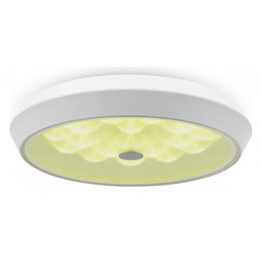 Накладной светильник Freya Cells FR10012CL-L24W