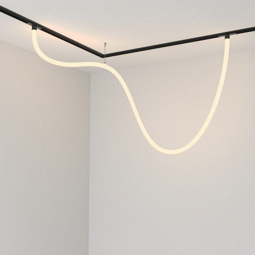 Подвесной светильник Maytoni Tau TR101-2-50W3K-B