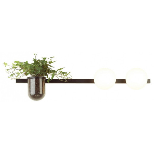 Бра Odeon Light Flower 4681/2W