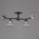 Люстра на штанге 07624-0.3-04 CR+BK