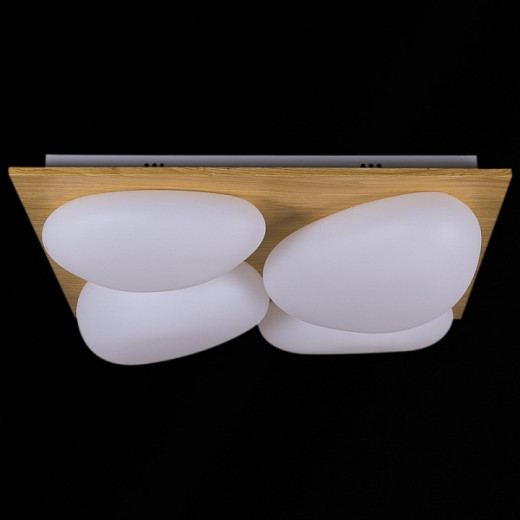 Потолочная люстра 10010-0.3-80W AEROLITE