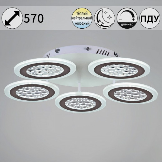 Потолочная люстра 20491-0.3-05 WT