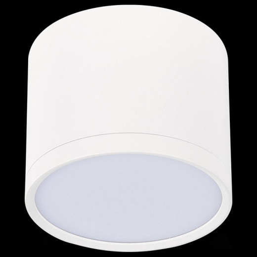 Накладной светильник ST-Luce Rene ST113.532.09