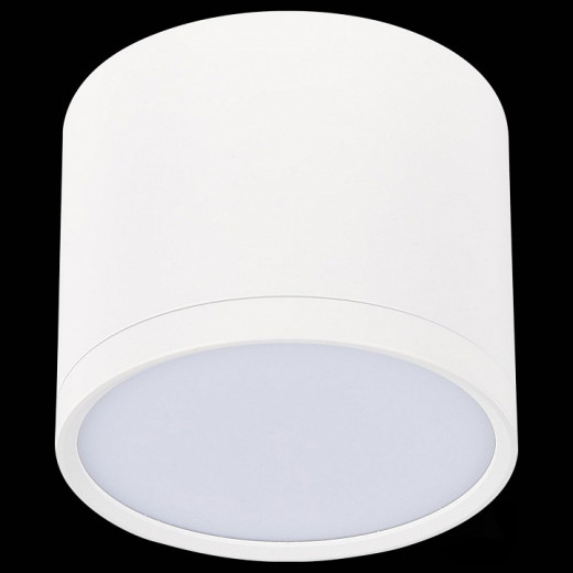 Накладной светильник ST-Luce Rene ST113.542.09