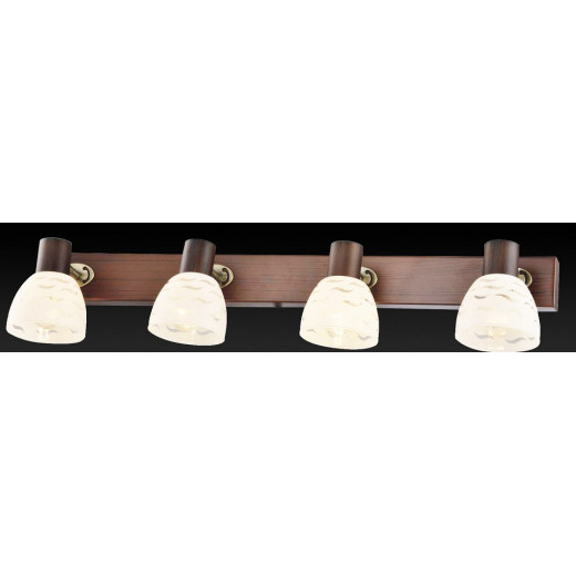 Спот TopLight Shayla TL3730Y-04BB