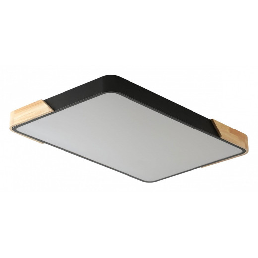 Накладной светильник Zortes Alberro ZRS.01244.60