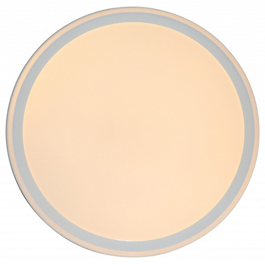 Накладной светильник Zortes Bella ZRS.1200.09