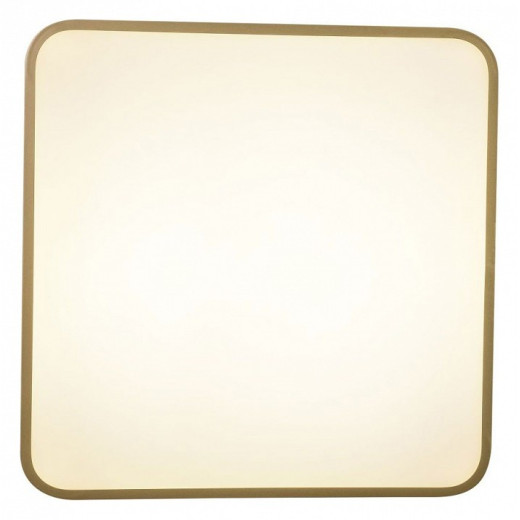 Накладной светильник Zortes Gabby ZRS.1215.03