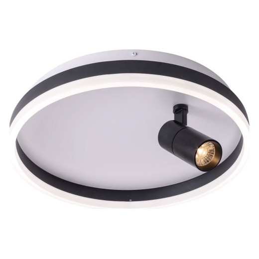 Накладной светильник Zortes Raizy ZRS.1888.03