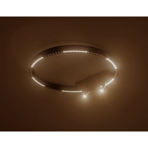 Накладной светильник Ambrella Light FL FL5808