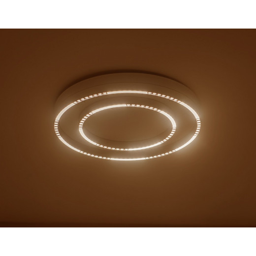 Накладной светильник Ambrella Light FL FL5821