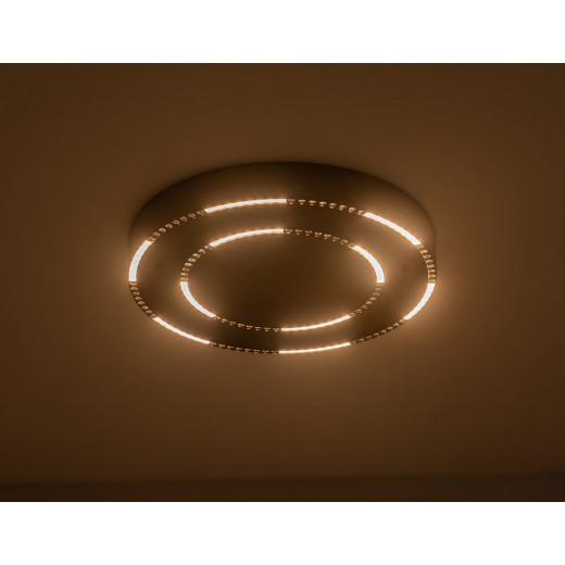 Накладной светильник Ambrella Light FL FL5822