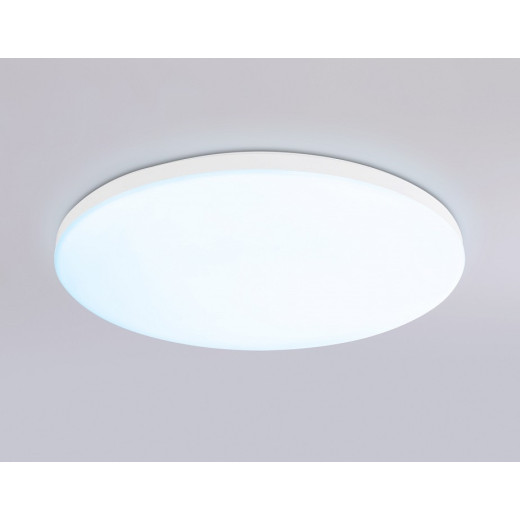 Накладной светильник Ambrella Light FZ FZ2001