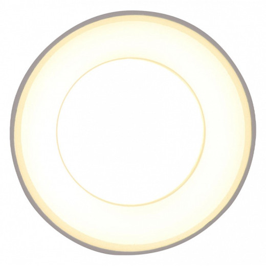 Накладной светильник Ambrella Light TN TN3411