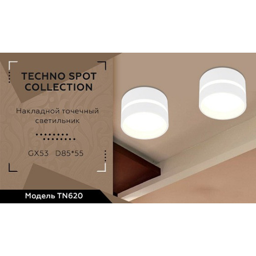 Накладной светильник Ambrella Light TN TN620