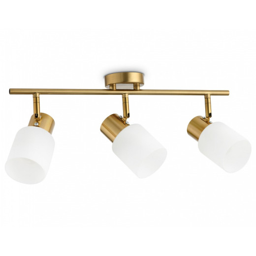 Спот Ambrella Light TR TR3972