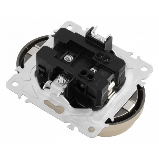 Розетка двойная с заземлением, без рамки Arte Milano am-202 202.40-2.shampan