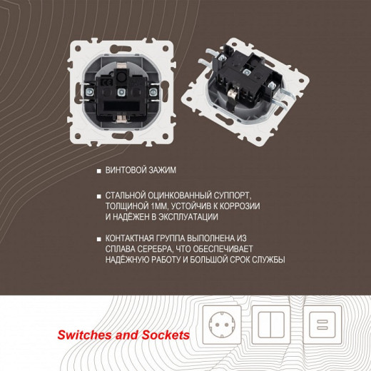 Розетка с заземлением и со шторкой, без рамки Arte Milano am-205 205.40-1.silver