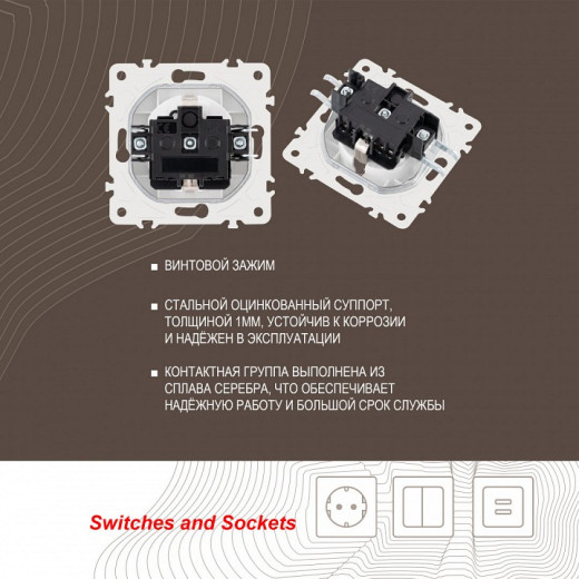 Розетка с заземлением и со шторкой, без рамки Arte Milano am-205 205.40-1.white