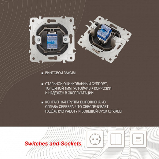 Розетка телефонная RJ-11 без рамки Arte Milano am-205 205.51-1.shampan