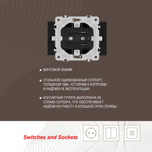 Розетка двойная с заземлением, без рамки Arte Milano am-206 206.40-2.black