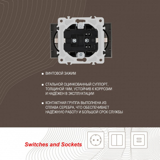 Розетка двойная с заземлением, без рамки Arte Milano am-206 206.40-2.shampan