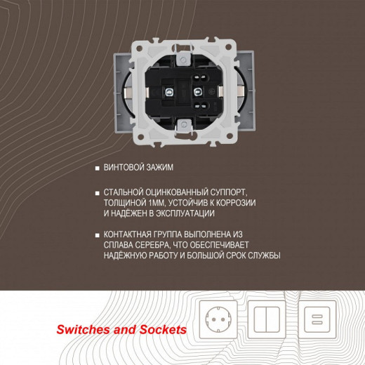 Розетка двойная с заземлением, без рамки Arte Milano am-206 206.40-2.silver