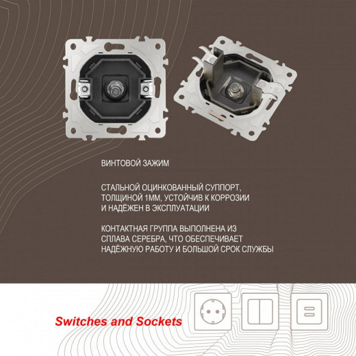 ТВ-розетка без рамки Arte Milano am-206 206.42-1.shampan