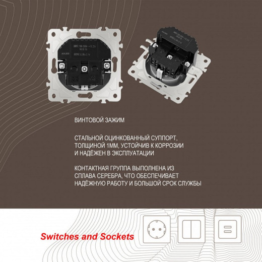 Розетка с заземлением и со шторкой и 2хUSB, без рамки Arte Milano am-206 206.47-1.silver