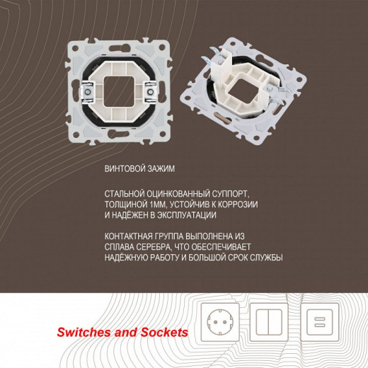 Розетка для вывод кабеля без рамки Arte Milano am-206 206.49-1.shampan