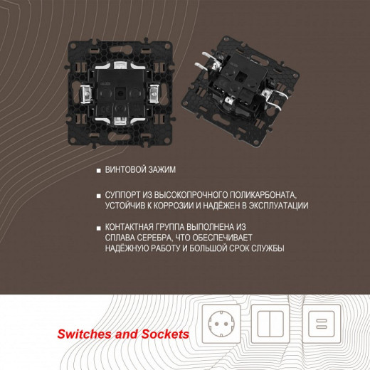 Розетка с заземлением и со шторкой, без рамки Arte Milano am-217 217.40-1.shampan