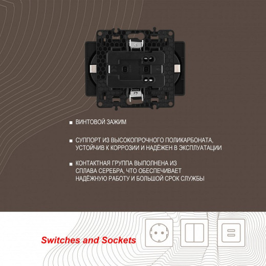 Розетка двойная с заземлением, без рамки Arte Milano am-217 217.40-2.black