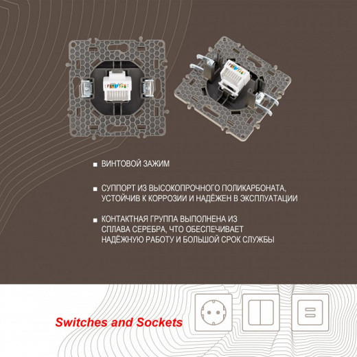 Розетка Ethernet RJ-45 без рамки Arte Milano am-217 217.45-1.shampan
