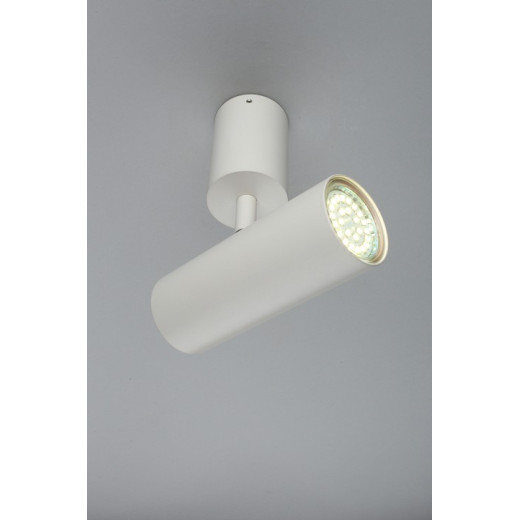 Спот Aployt Berenis APL.007.02.01