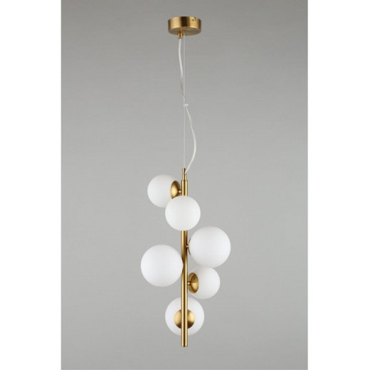 Подвесная люстра Aployt Letizia APL.314.06.06