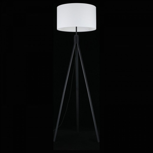 Торшер Aployt Donatin APL.636.05.01