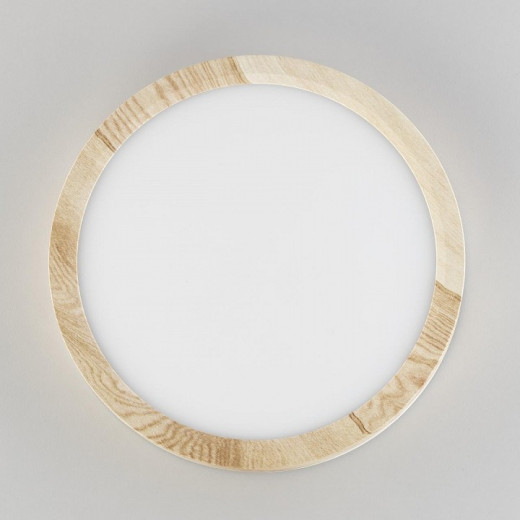 Накладной светильник Citilux Бейсик CL738122N