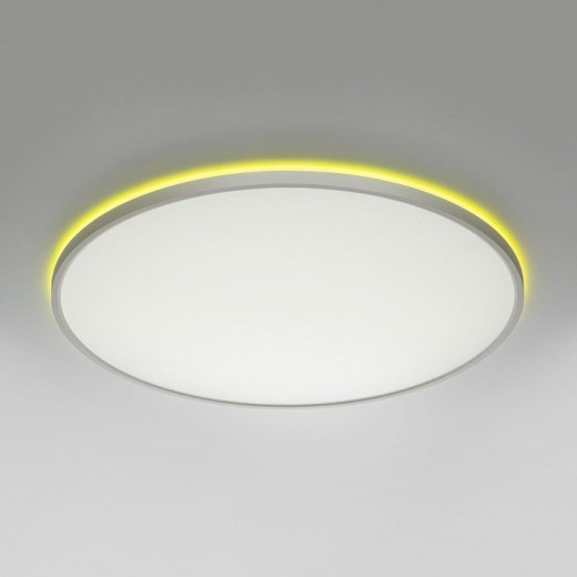 Накладной светильник Citilux NORMA CL749600