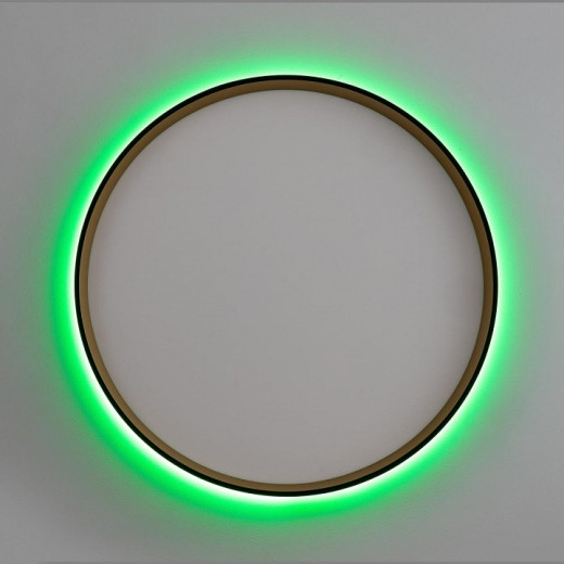 Накладной светильник Citilux ETALON CL750401R