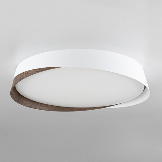 Накладной светильник Citilux BONNY CL754350G