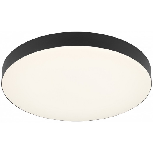 Накладной светильник Эра Relict Relict 38 SPB-6-40 4К BK