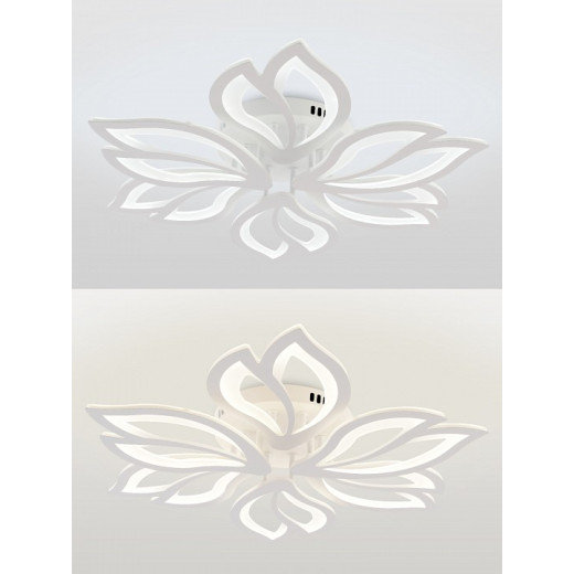 Потолочная люстра Natali Kovaltseva FORTUNA LED LAMPS 81107/6C